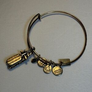 Alex and Ani Winter Sled 🛷 Charm Bangle